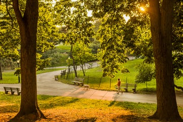 riverside park in manhattan