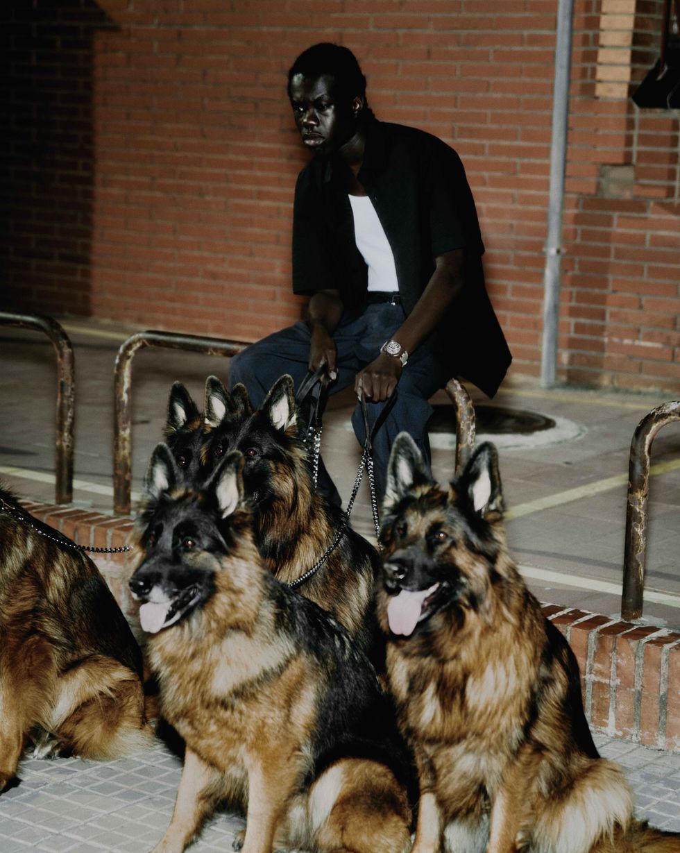 a person sitting on a chair with dogs around him