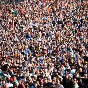 Formula 1 Fans formula 1 fans