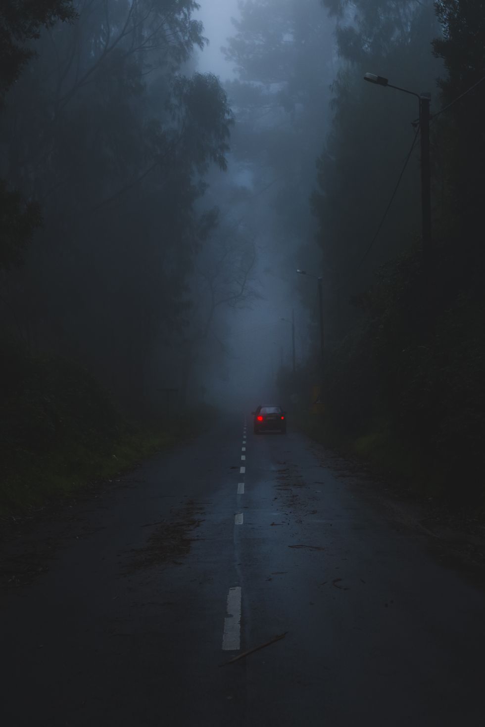 road amidst trees against sky during foggy weather