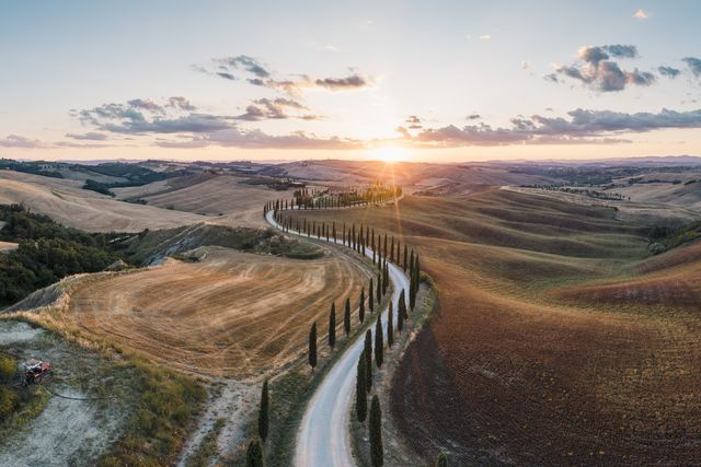 road among cypress trees, tuscany, italy