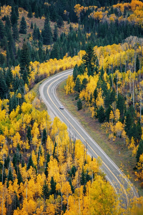 Sonbahar Renginde Yol sonbahar renginde yol