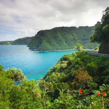 road to hana maui hawaii