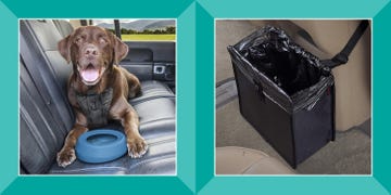 dog with no spill water bowl in back carseat, foldable hanging car trash can