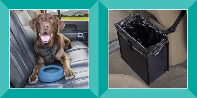 dog with no spill water bowl in back carseat, foldable hanging car trash can