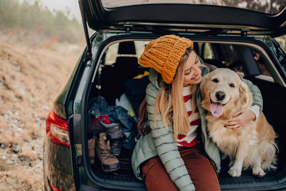 What Does Liability Insurance Cover?