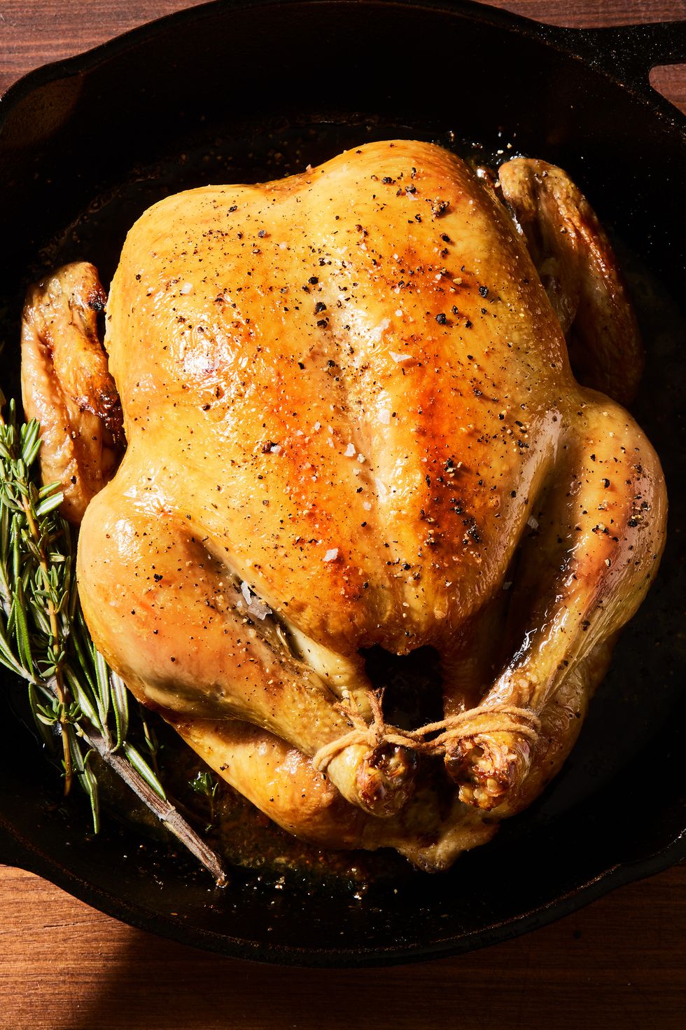 roast chicken tied in a skillet with rosemary