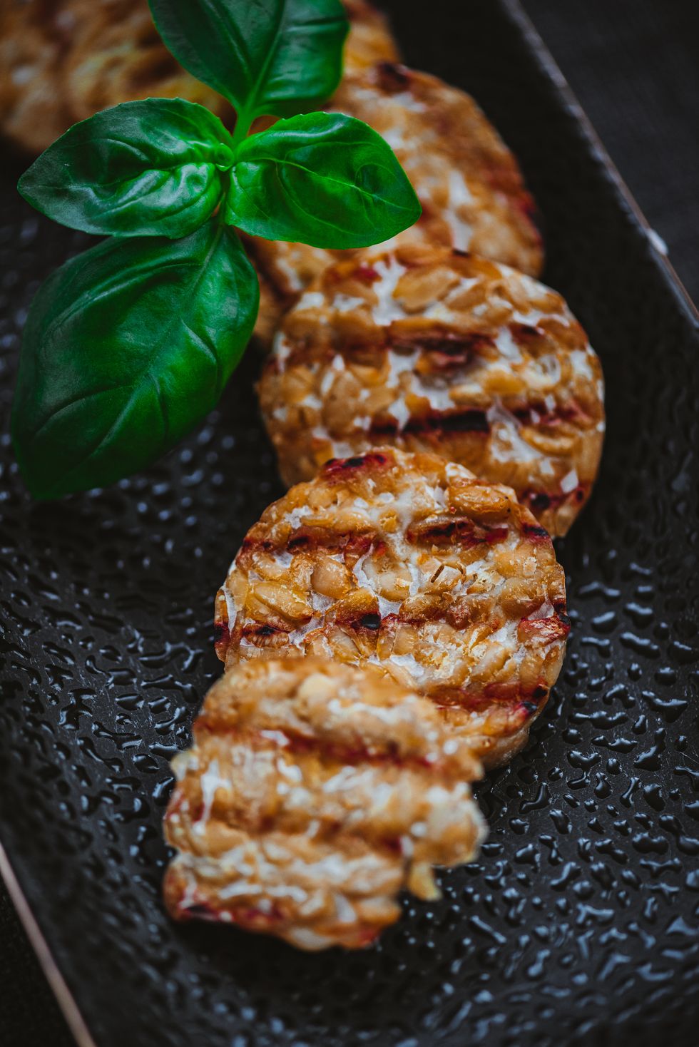 roasted and grilled tempeh slices with grill marks