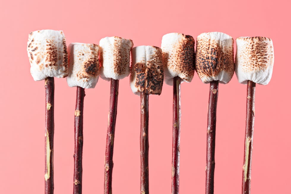 roasted marshmallow on twig