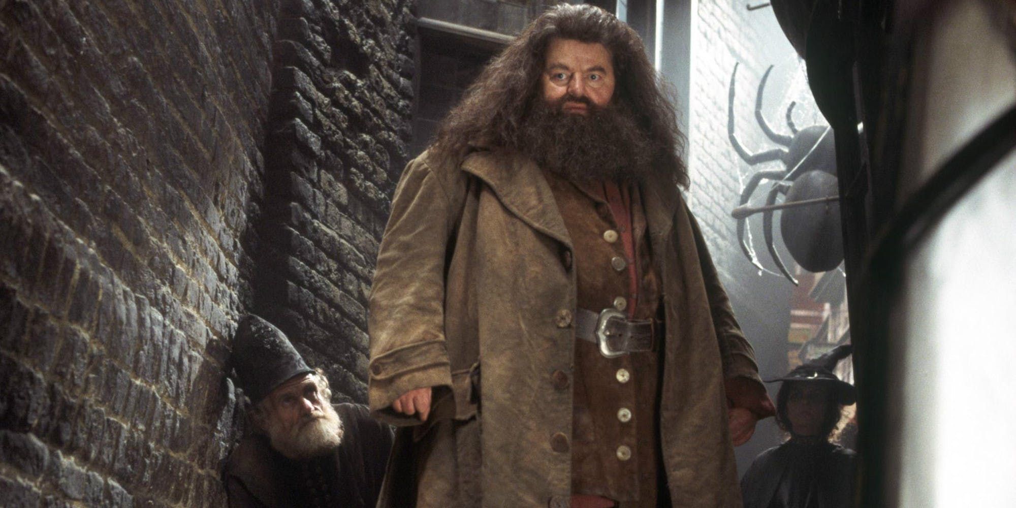 Hagrid coat 2025