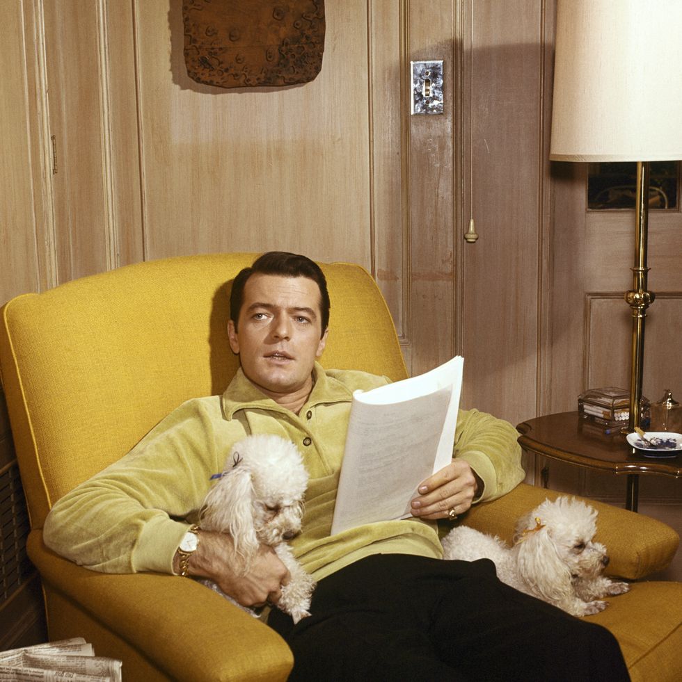 united states circa 1966 robert goulet 1966, robert goulet relaxing with a script and family pets photo by abc photo archivesdisney general entertainment content via getty images