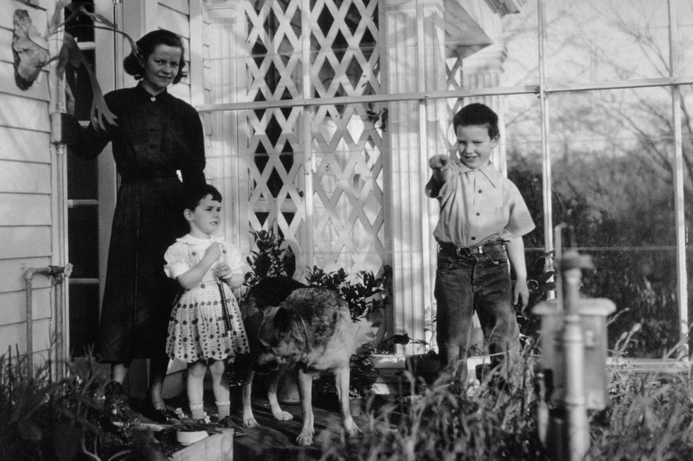 katherine oppeneimer stands next to daughter, katherine, and overlooks an atrium where son, peter, points something of interest out