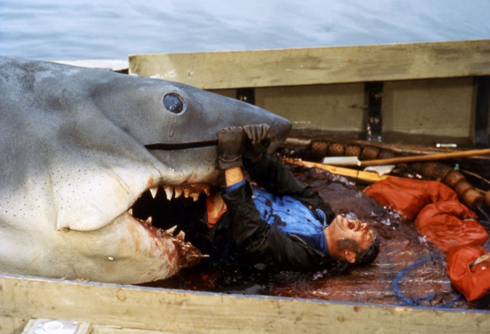 british actor robert shaw on the set of jaws, directed by steven spielberg photo by sunset boulevardcorbis via getty images