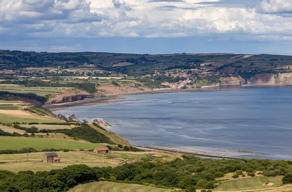 dog friendly beaches uk