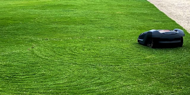 The 7 Best Robot 2023 - Robot Lawn Mower Reviews