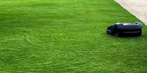 best robot lawn mowers