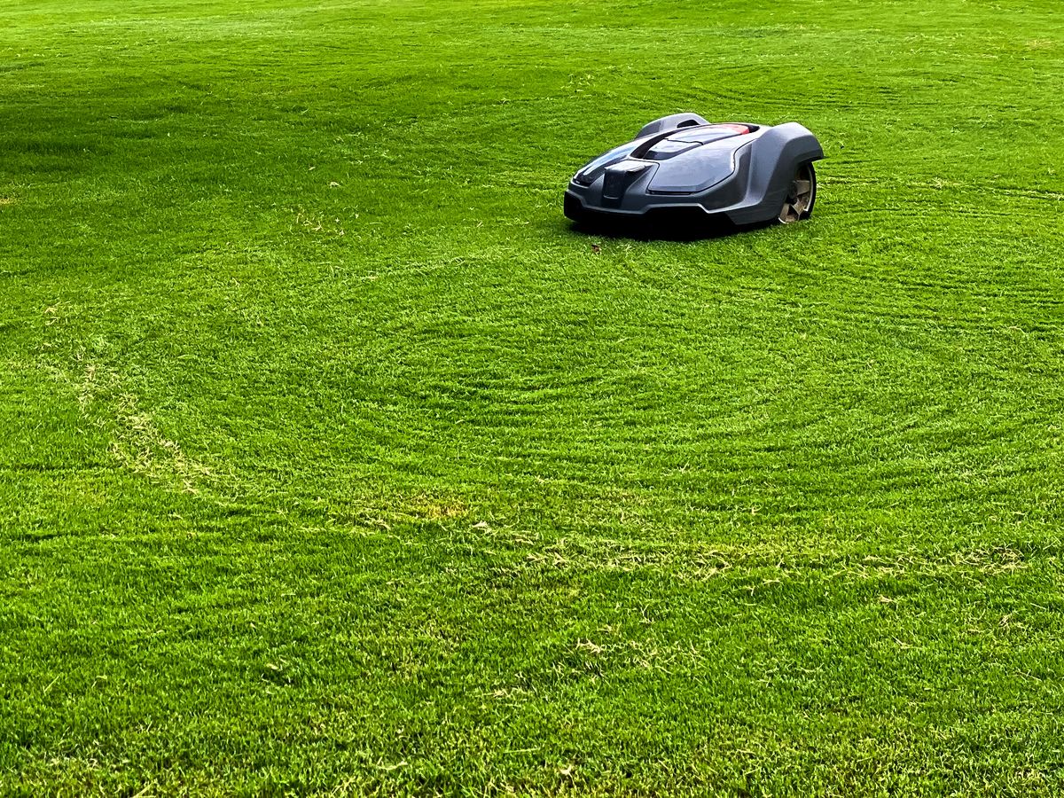 8 Benefits of a Robotic Lawn Mower