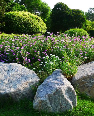 rock garden ideas boulders