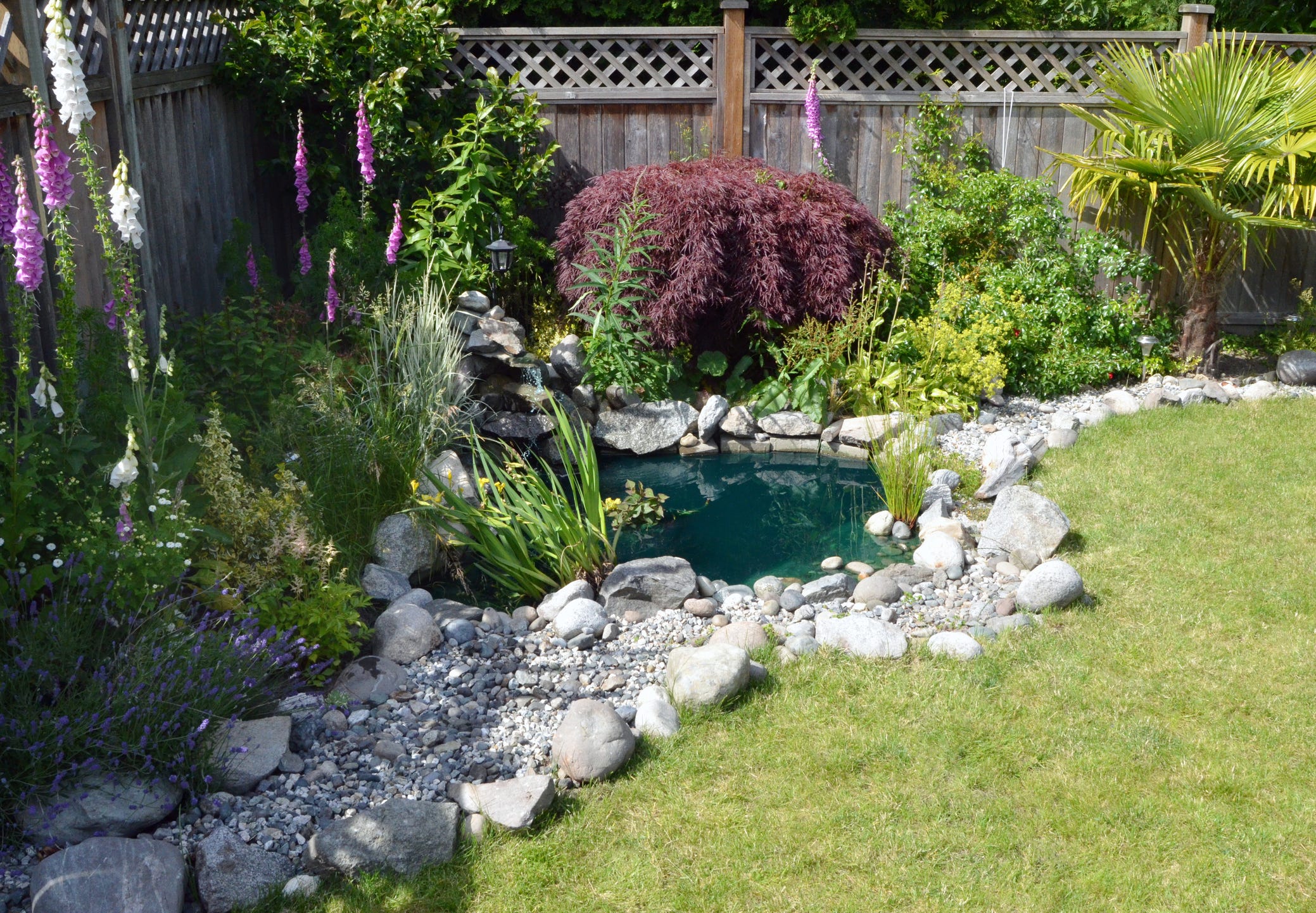 Upgrade Your Backyard with These Creative Rock Garden Ideas