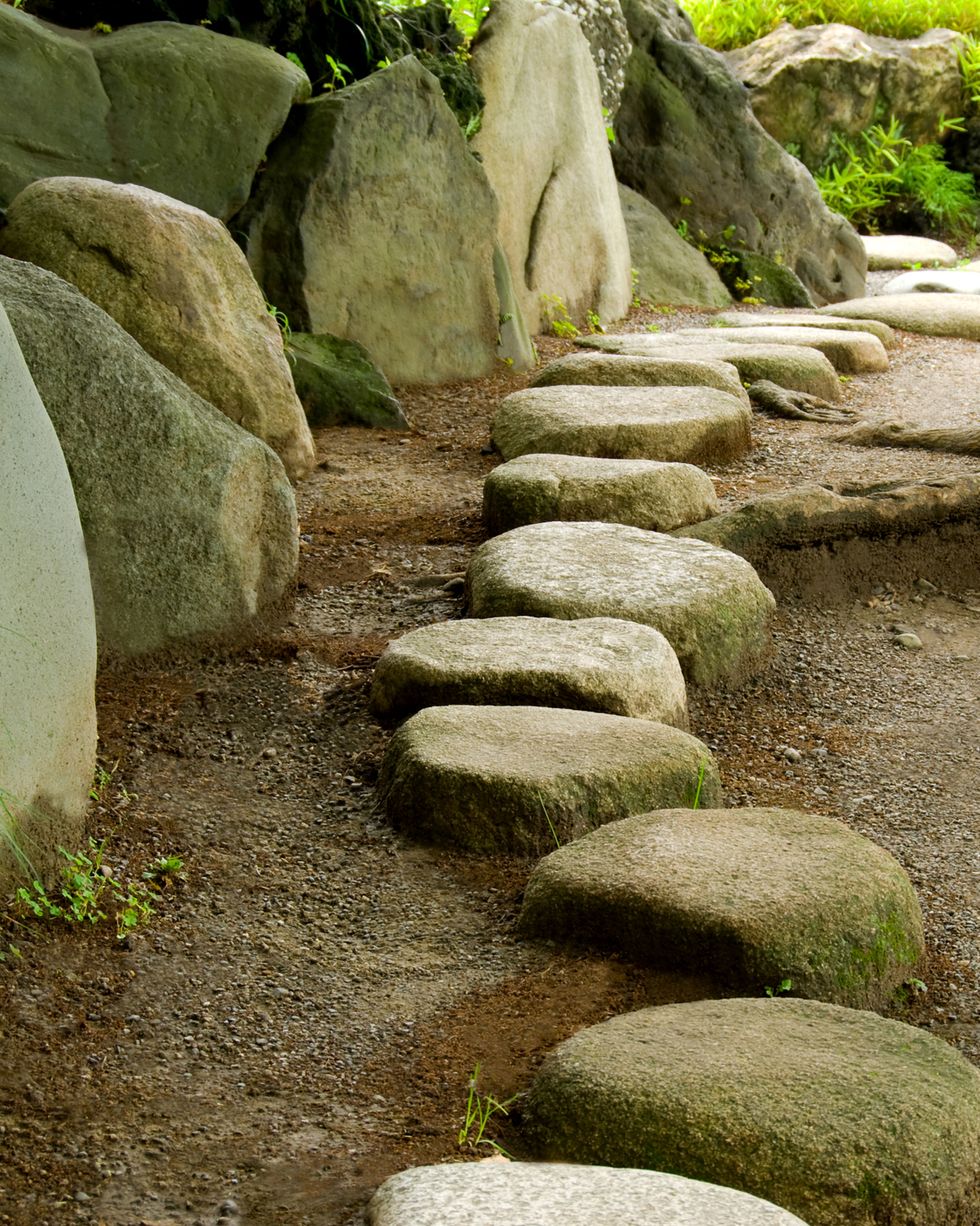 rock garden ideas stepping stones