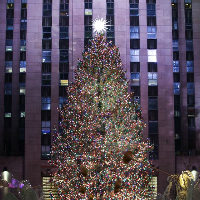 20 Best Christmas Trees In NYC In 2023