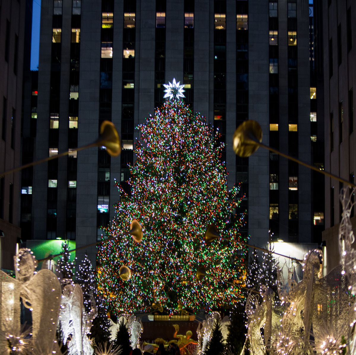 new york christmas tree