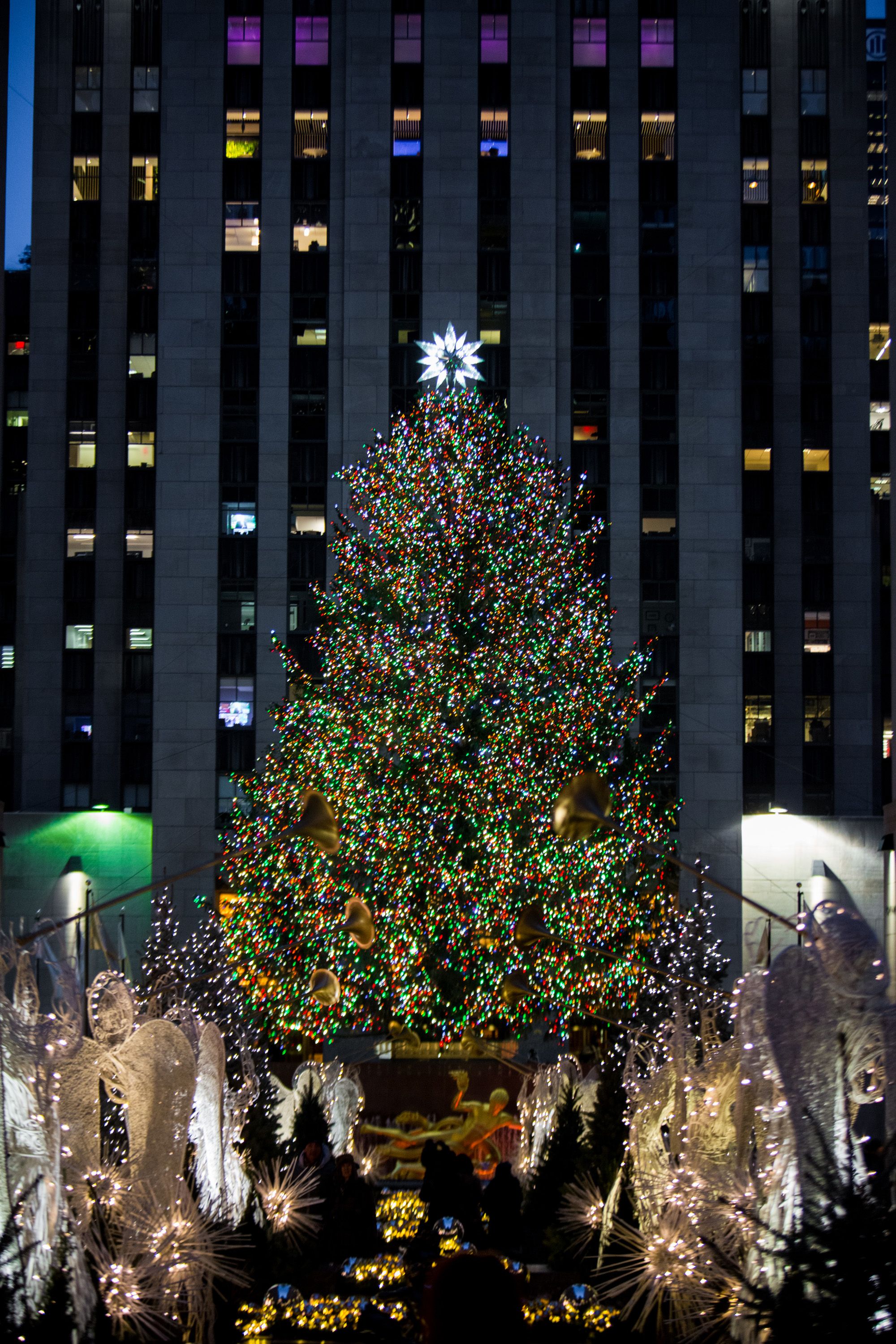 New York Christmas Tree Lightings