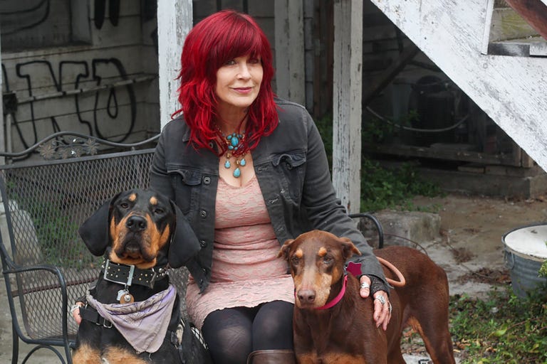 rocket dog rescue, pali bouche