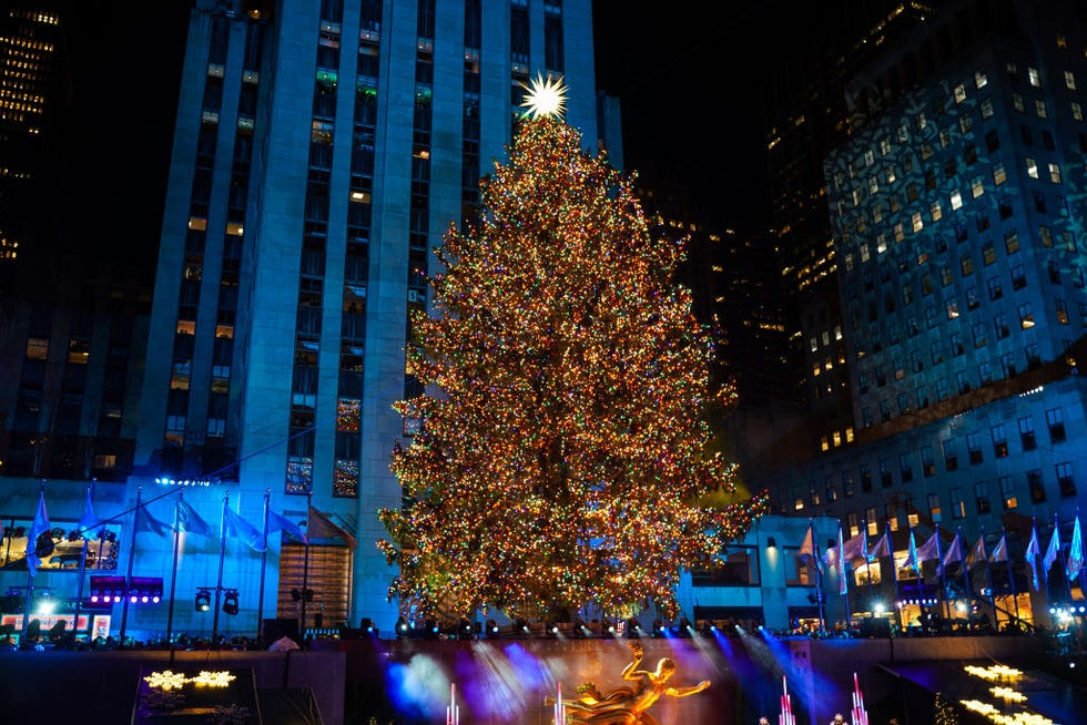 Gli alberi di Natale più belli del mondo Elle Decor