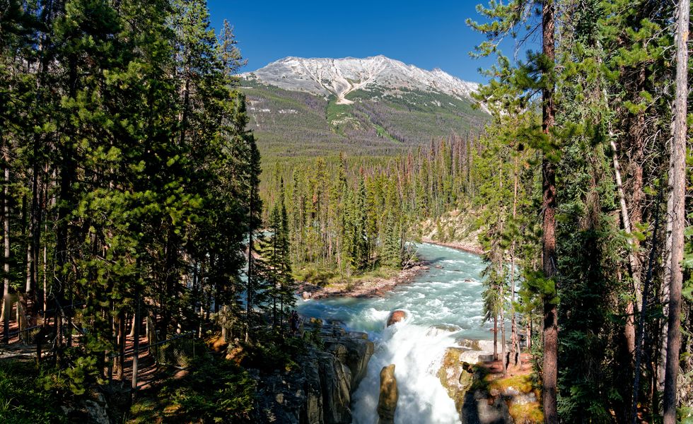 sunwapta falls and a backdrop of the canadian rockies a setting looking to the northeast while taking in views of the waterfalls with a forest of evergreen trees all around this is in jasper national park and along the icefields parkway my thought on composing this image was to take advantage of the viewpoint i was on with the clearing in the trees to capture the waterfall, as well as the river coming downstream nearby trees would be a frame for the river and waterfalls, but also include the backdrop of the endless chain ridge
