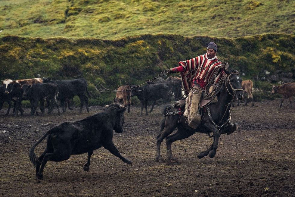 Eeuwenoude traditieHet woord chagra is afgeleid van chakra perceel of stuk land in het Quechua de inheemse taal Deze cowboys van de Andes zijn mestiezen afstammelingen van inheemse bewoners en Spanjaarden die van de Spaanse overheersers de kunst van het paardrijden leerden en hoe met dappere stieren om te gaan Chagrazijn iets wat doorgaans van vader op zoon en tegenwoordig ook van vader op dochter wordt doorgegeven is een manier van leven Chagras staan bekend om hun uitzonderlijke paardrijkunst en hun nietaflatende toewijding aan hun dierenEen paard is geen vervoermiddel of een dier het is het verloren deel van mijn ziel en mijn geest aldus Faran een van de chagras Door het verdwijnen van de rodeos staat de chagracultuur onder druk Kleinschalig toerisme draagt bij tot het behoud ervanOp de fotoLassovirtuoos Omar CumbajinChagrasdie bekwaam zijn in het lasson genieten aanzien