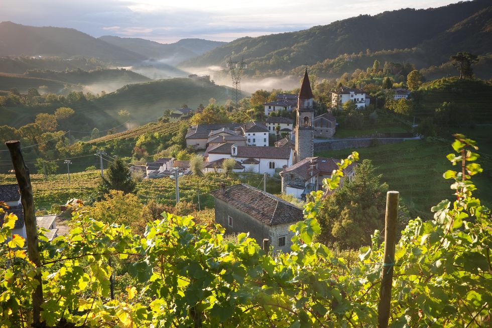 rolle village  prosecco vineyards veneto italy