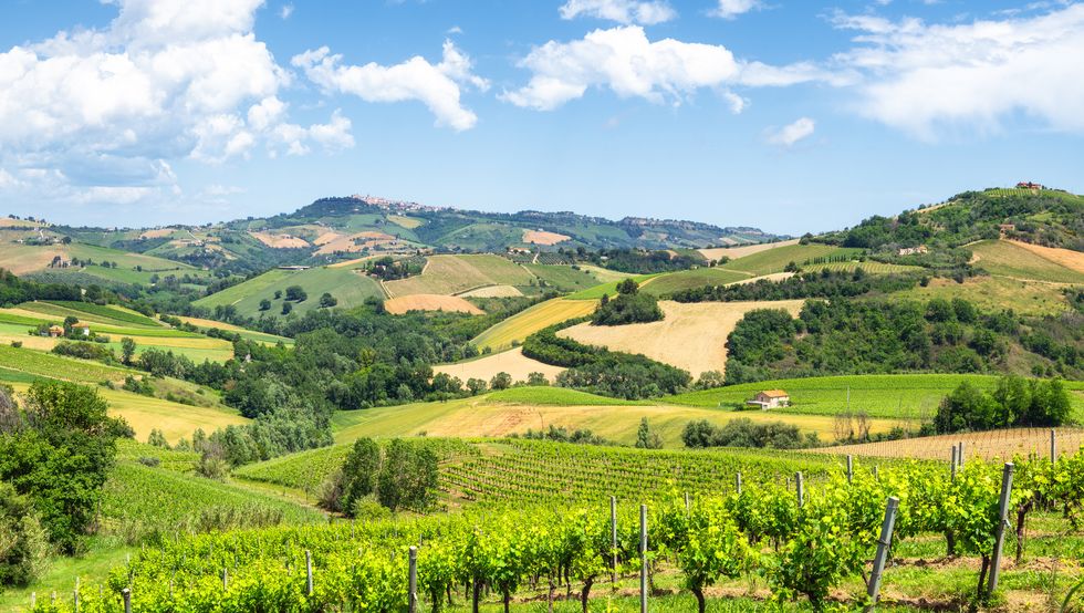 trekking nelle marche