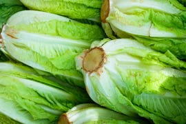 romaine lettuce hearts