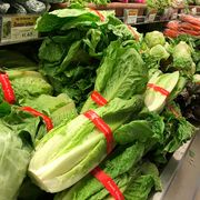 first death reported related to e coli outbreak sourced to romaine lettuce
