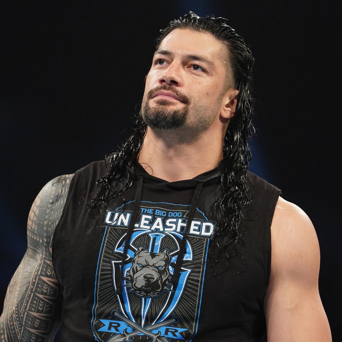 What the Big Dog Roman Reigns would look like if he shaved his head. :  r/SquaredCircle