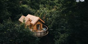 a house surrounded by trees