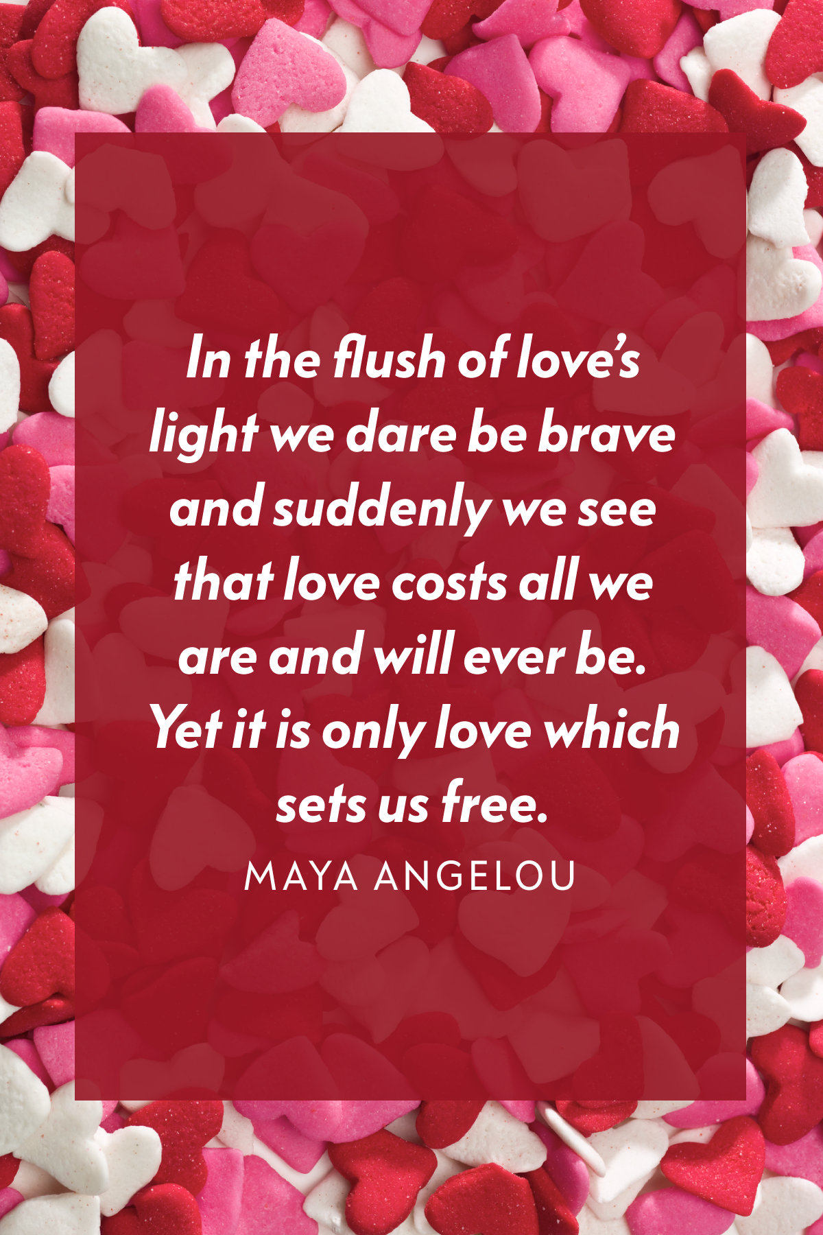 Discover Lovely Sayings to Celebrate Valentine's Day