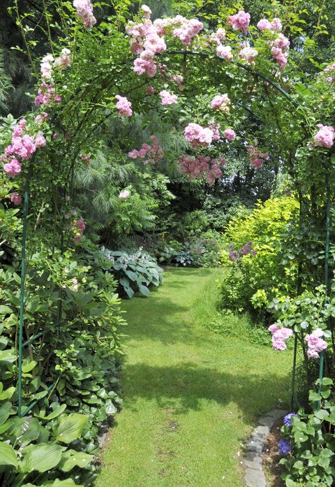 romantic rose garden