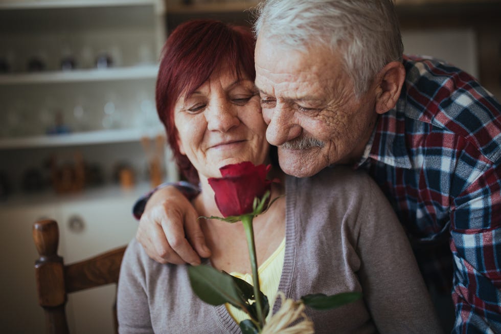 romantic senior couple with a red rose
