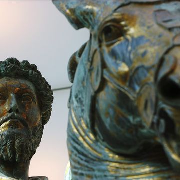 the newly restored statue of marcus aurelius is seen in its new location at the capitoline museum in rome.