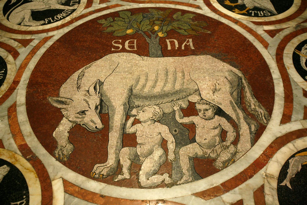 romulus and remus marble work in the duomo of siena