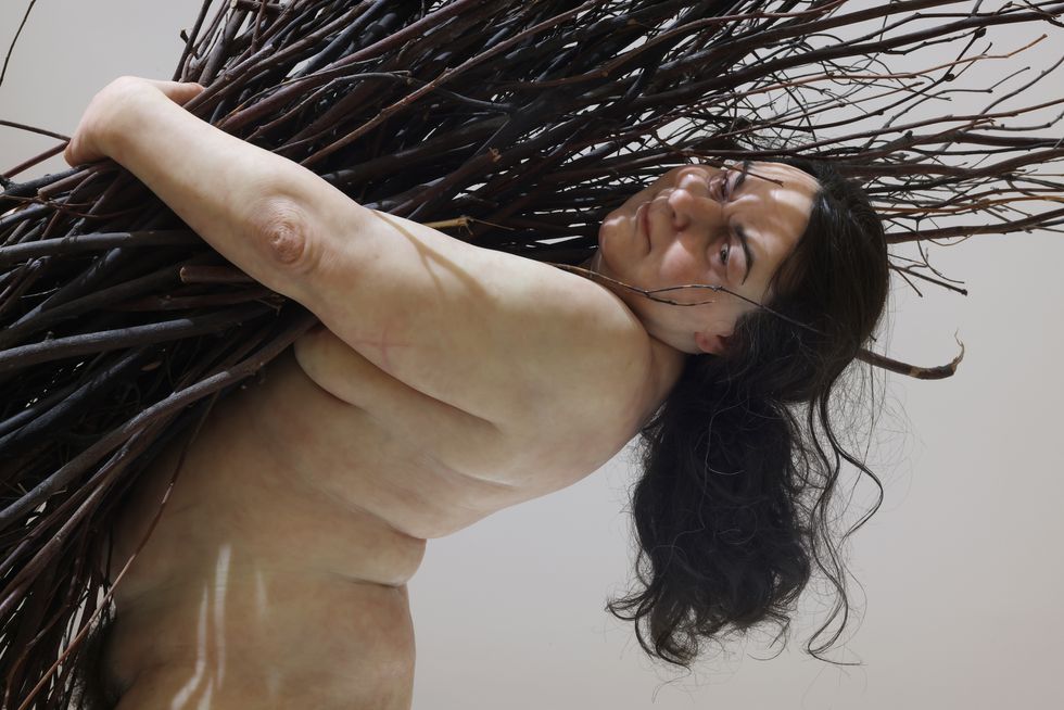 ron mueck, woman with sticks, 2009, particolare allestimento triennale milano