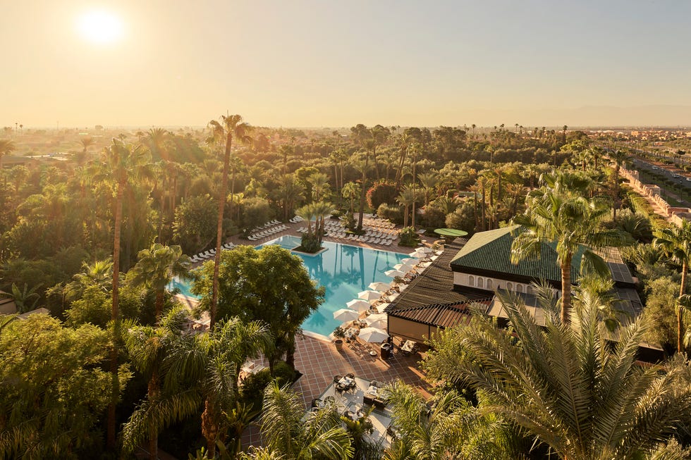 a pool surrounded by trees
