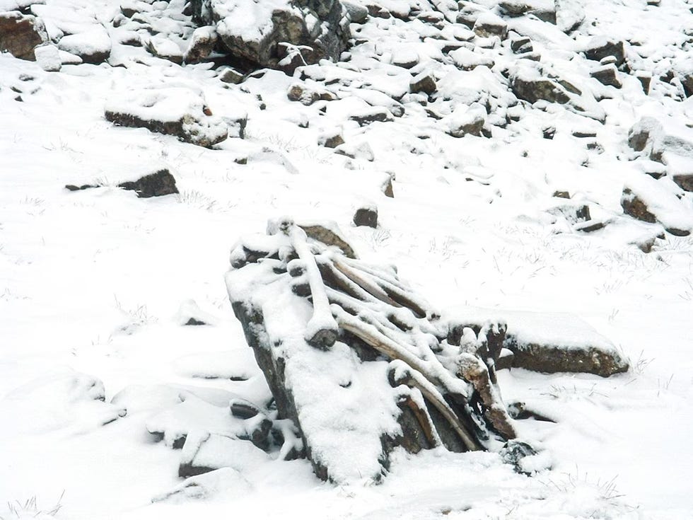 roopkund meer vol skeletten dna onderzoek india archeologie