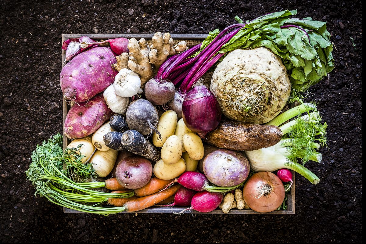 basket of root vegetables