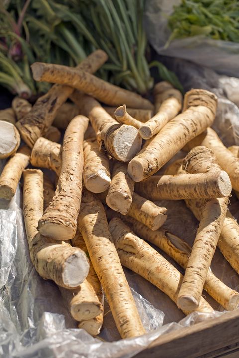 root vegetable guide horseradish
