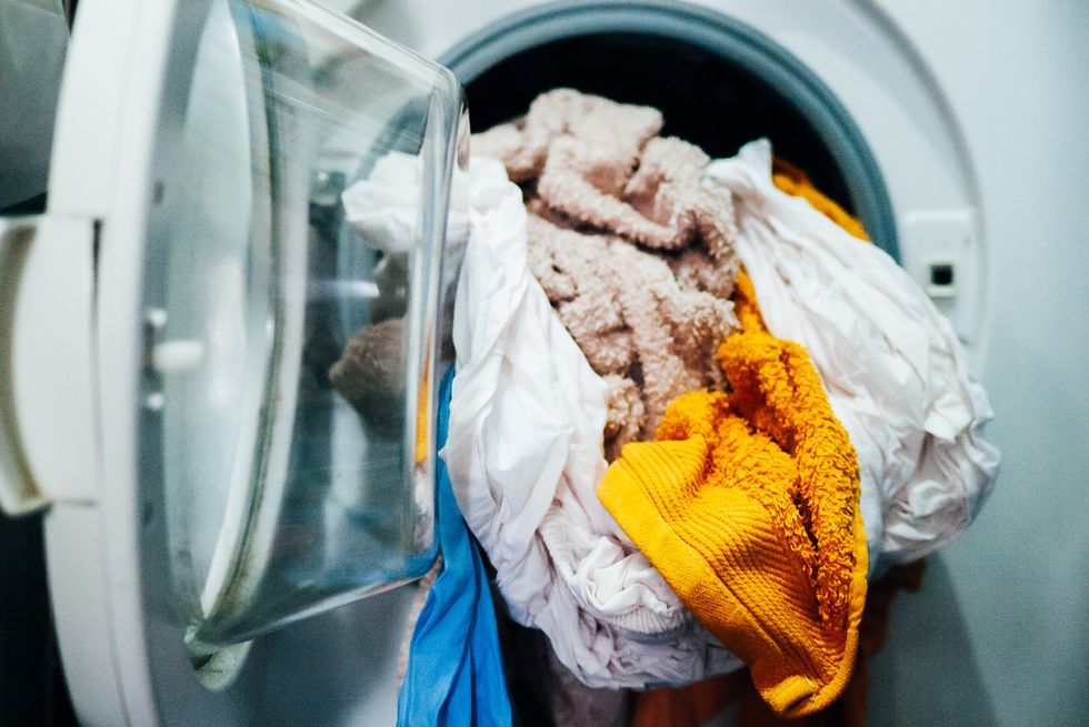 roupas molhadas na máquina de lavar, um ninho de germes