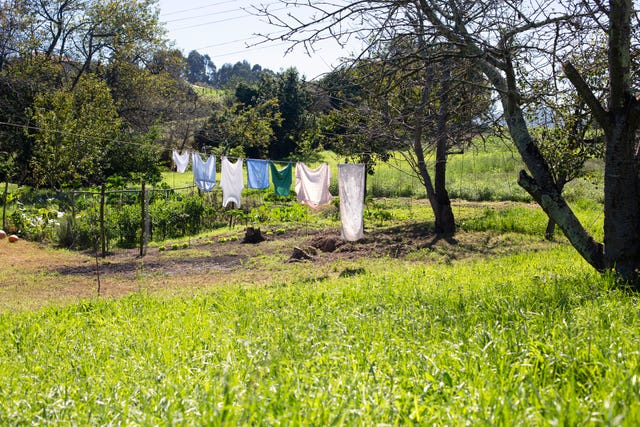 el truco definitivo para evitar el olor a humedad y tender la ropa al aire libre en invierno
