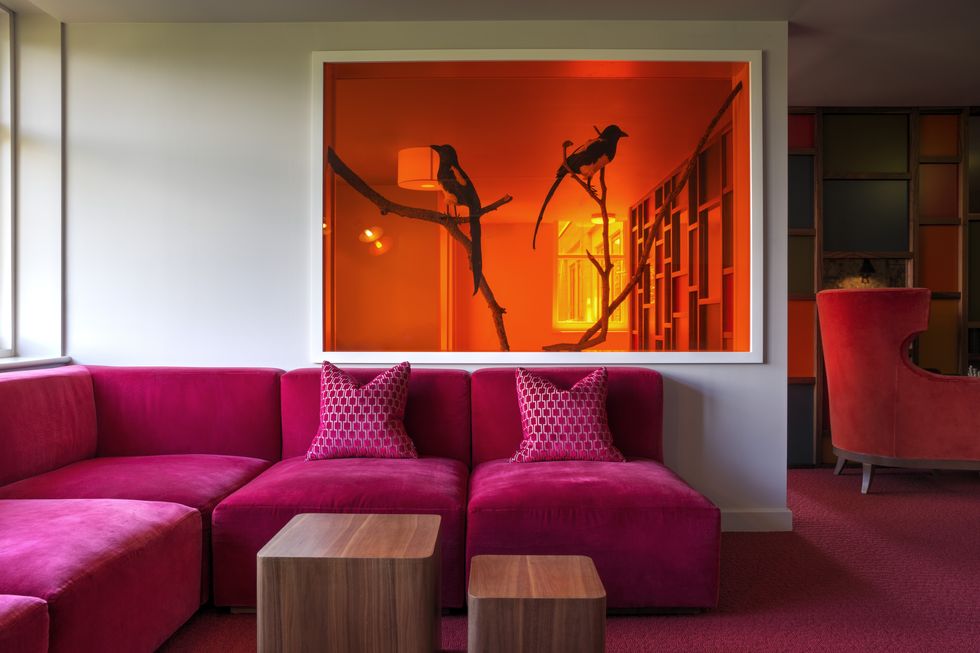 Room, Couch, Living room, Furniture, Interior design, Orange, Lighting, Magenta, Wall, Modern art, 